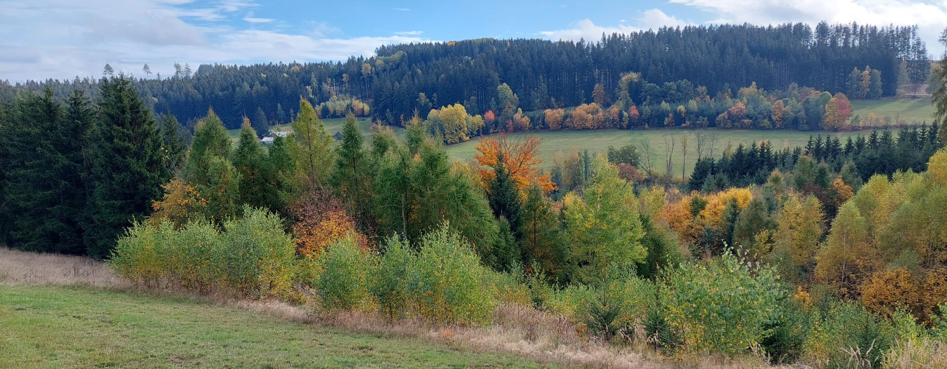 🍁 ŘÍJEN – ČAS PLIC, LEDVIN A KLIDNÉ SÍLY